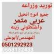 البائع صورة مصغرة