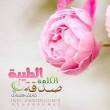البائع صورة مصغرة