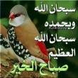 البائع صورة مصغرة