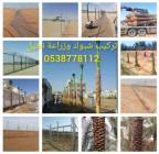 زراعة النخيل واشجارالواشنطونيا, خدمات