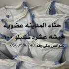 حناء وسدر المدي, Beauty & Health, Hair Care & Styling