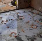 معلم بلاط مصري, Property & Maintenance, Property Maintenance Services