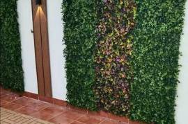 عشب جدارى بتشكيلة رائعة , Home and Garden, Home Decoration