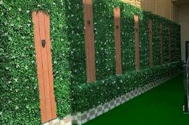 عشب جدارى بتشكيلة رائعة , Home and Garden, Home Decoration