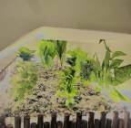 Riyadh , 0,00 ريال