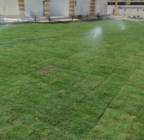 تنسيق حدائق , Home and Garden, Gardening and Plants