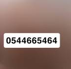 ملحقات, اكسسوارات اخرى, بندقية كريكت 2 تيكتيكال 7