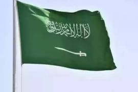 صيانة الممتلكات, ممتلكات أخرى و الخدمات ماينتينسي