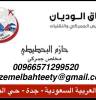 سيرة ذاتية, الخدمات اللوجستية