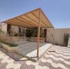الرياض 
