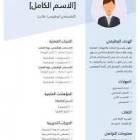 ملحقات, ضبط سيارة والتصميم, تصميم سيره ذاتي