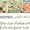 خردہ سکراب حدید , الحيوانات الأليفة, قطط