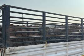 نقل عفش وجميع مايلزم نقله, Transport & Logistics, Van & Truck Hire