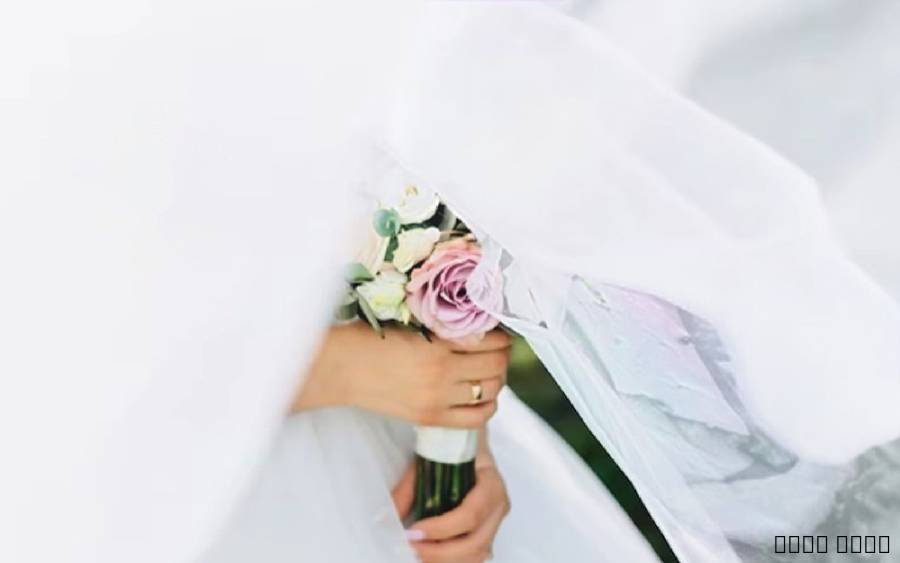 معقب معاملات التجنيس