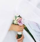 معقب معاملات التجنيس 