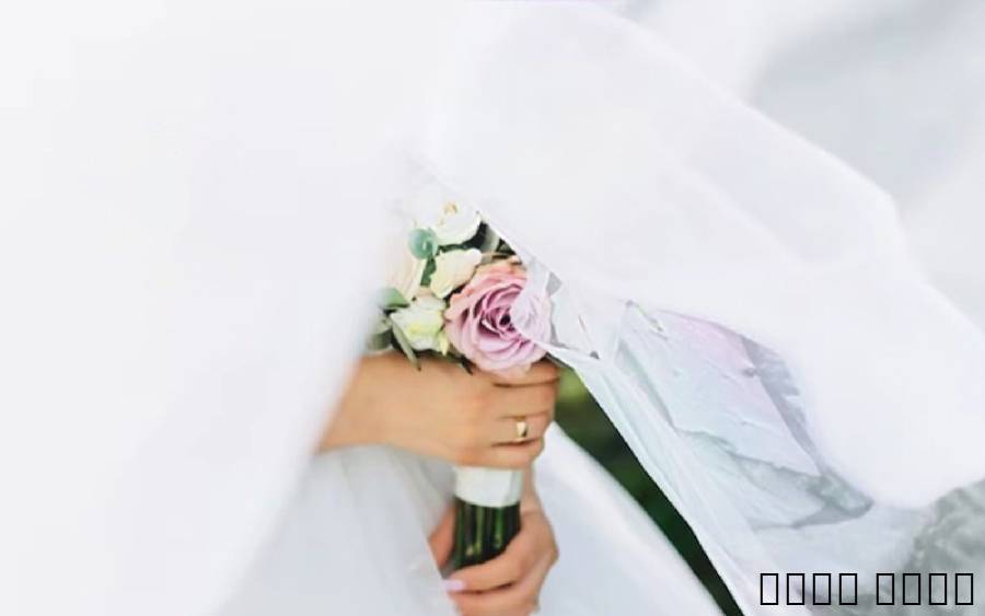 معقب معاملات التجنيس