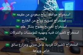 تخليص معامله التجنيس