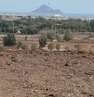 ارض في القحمه ع, Property, Lands For Sale
