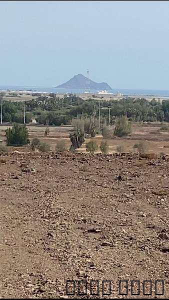 ارض في القحمه ع, Property, Lands For Sale