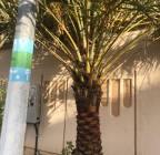 تصميم حدائق, Home and Garden, Gardening and Plants
