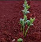 تربه زراعيه , Property & Maintenance, Property Maintenance Services