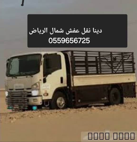 دينا نقل عفش بالرياض 0559656725, خدمات