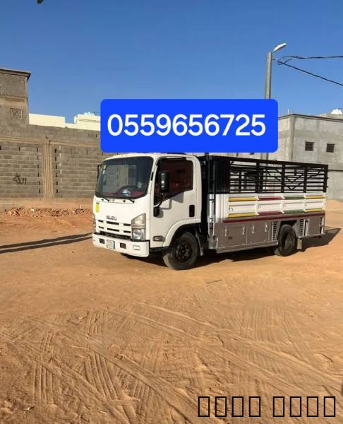 دينا طش الاثاث القديم بالرياض 0559656725, Home and Garden, Furniture