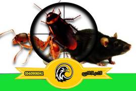 مكافحة الحشرات بالمدينة المنور, النقل والخدمات 