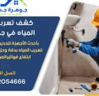 شركة كشف تسربات
