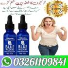 Blue wizard drops in Lahore <,`````,> 032611, Services, Traveling