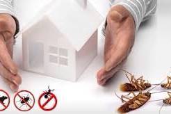 مكافحةحشرات البكيرية, شركة مكافحة حشرات بالبكيرية, Tradesmen & Construction, Pest & Vermin Control