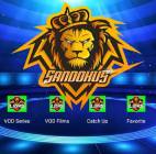 iptv, أقراص الفيديو الرقمية والأفلام, دي في دي