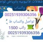 أفضل شركة تأجير عاملات بالشهر  الاحساء رخيصات, Services