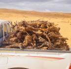 حطب ارطاء, خدمات, السفر