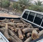 حطب سمر. , Services