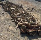 حطب سمر. , Services