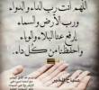 البائع صورة مصغرة