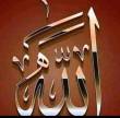البائع صورة مصغرة