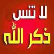 البائع صورة مصغرة